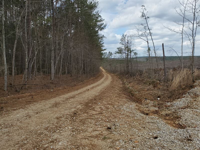 Bluff Springs : Goldville : Clay County : Alabama