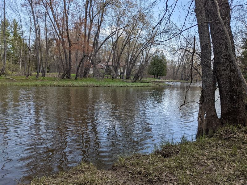 Hunting Camp, 27 Acres Northern MI, Farm for Sale in Michigan, 280193