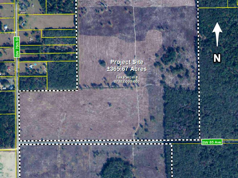 Timberland U Florida Development : Gainesville : Alachua County : Florida