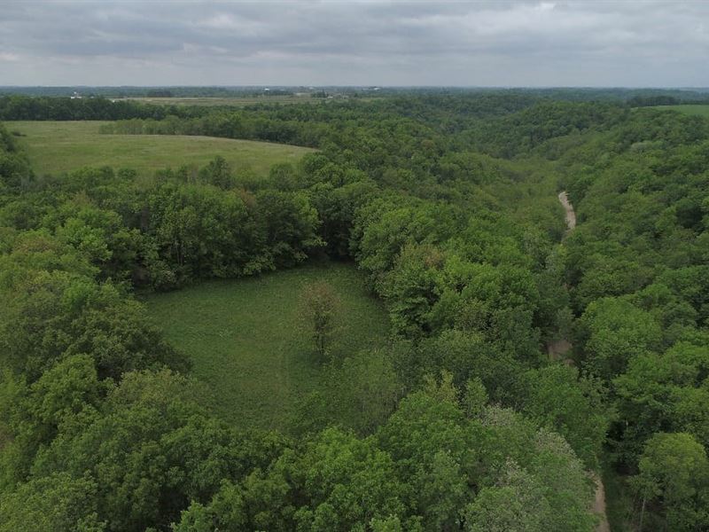 Recreational Land Sauk County, WI, Farm for Sale in Wisconsin, 280369