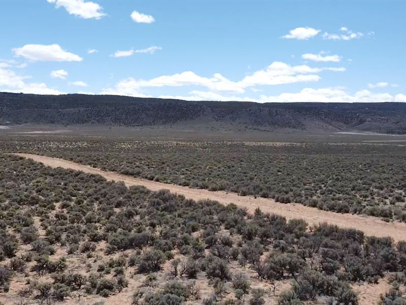 40 Acres, Build The Ranch Here : San Luis : Costilla County : Colorado