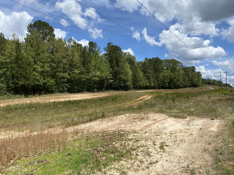 New Holland Tract, Farm for Sale in South Carolina, 280452 FARMFLIP