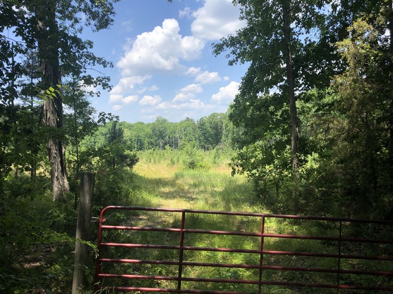 105 Acres in Chester, SC Farm for Sale in Chester, Chester County