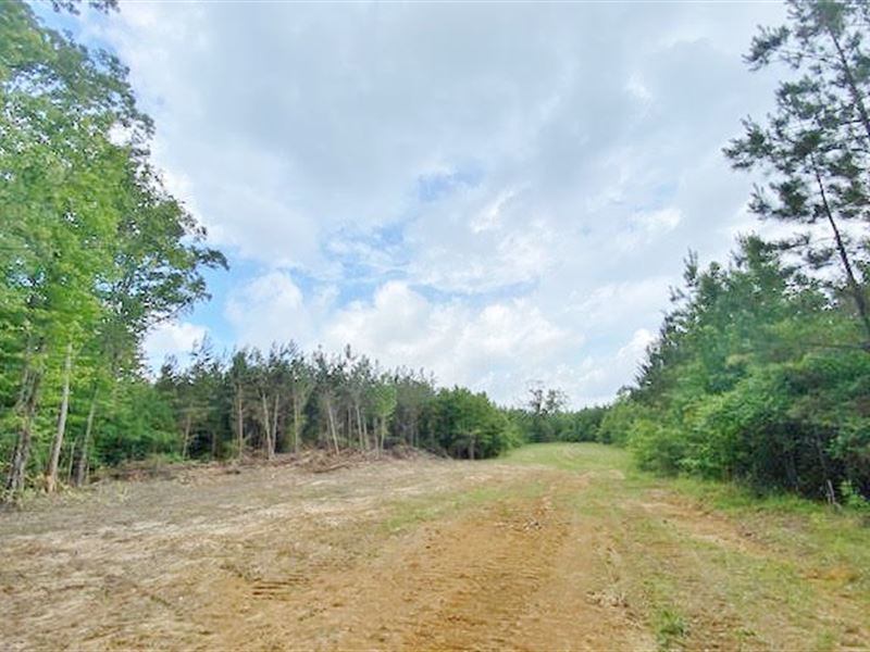 150 Acres, Hinds County, MS Farm for Sale in Utica, Hinds County