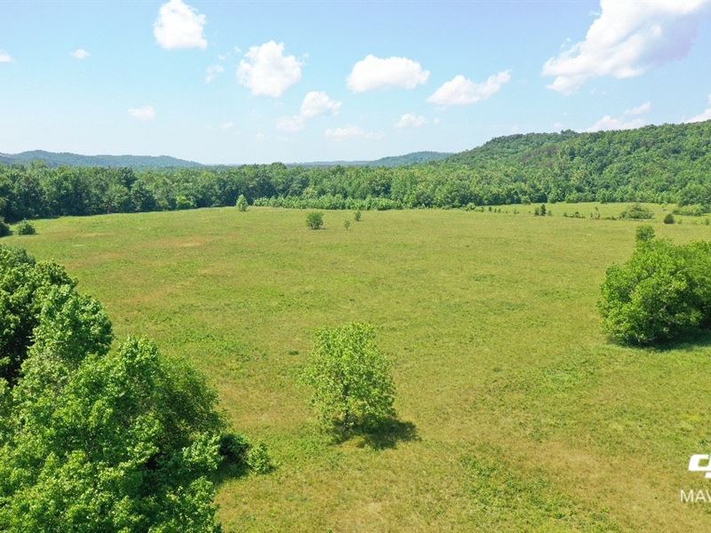 343 Acres Waterloo, Farm for Sale in Alabama, 280651 FARMFLIP