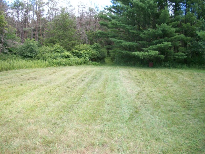 Deer & Turkey Hunting, No Zoning, Farm for Sale by Owner in Wisconsin