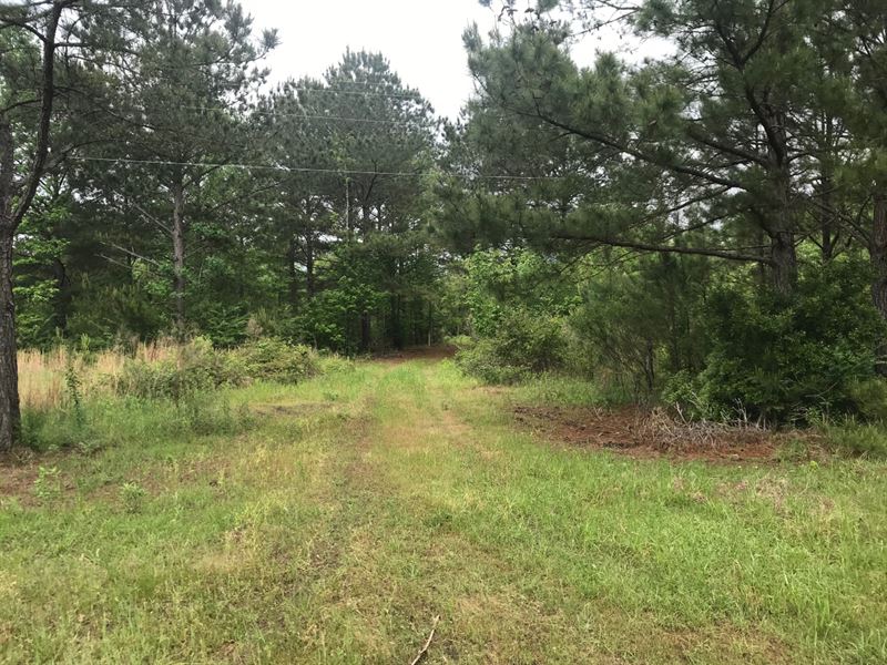 Amite County Tranquility : Centreville : Amite County : Mississippi