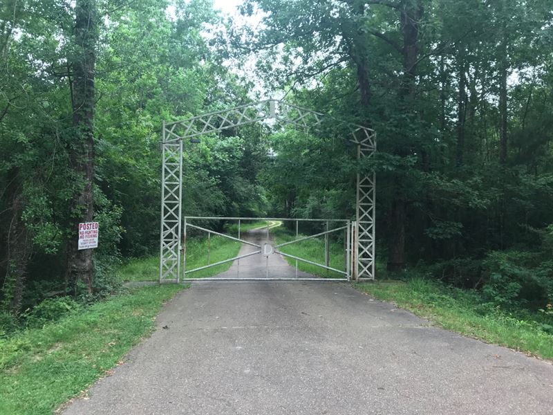 Tangipahoa River Paradise : Amite : Tangipahoa Parish : Louisiana