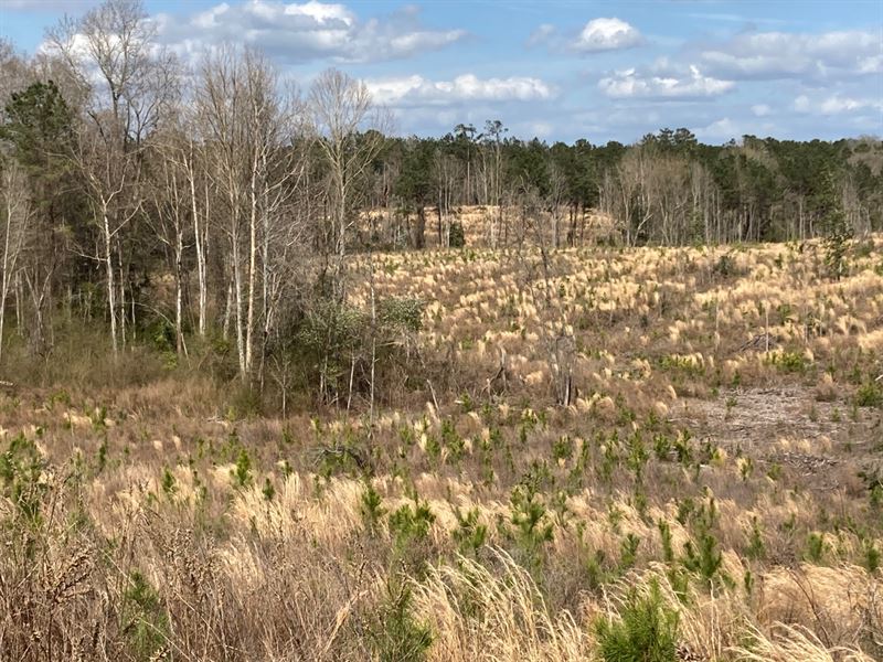 Simpson Magee 116 : Magee : Simpson County : Mississippi