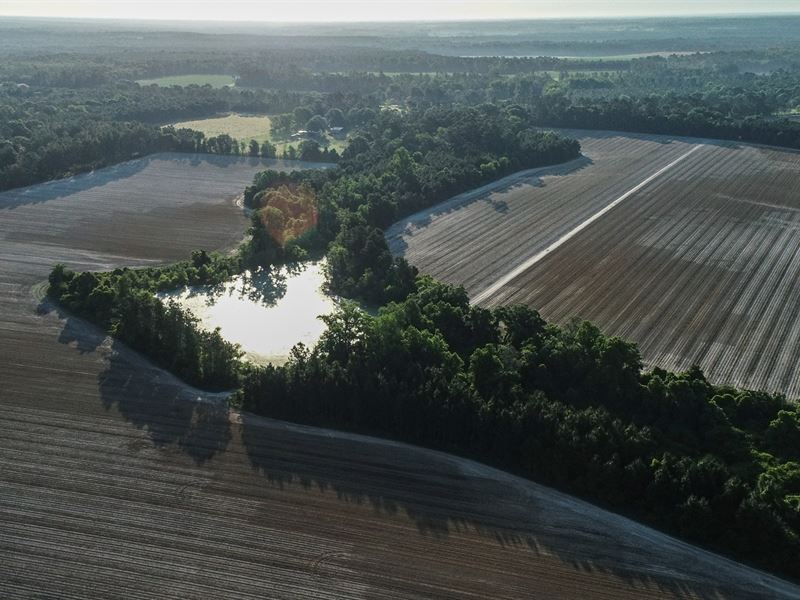 Wildwood Plantation, Farm for Sale in 280967 FARMFLIP