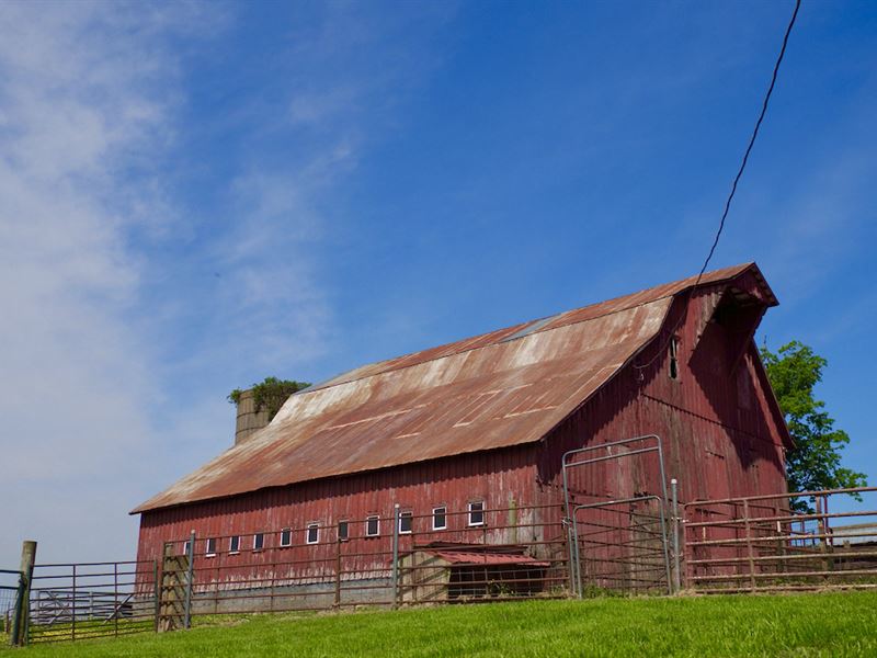 Southern Missouri Farm for Sale : Hartville : Wright County : Missouri