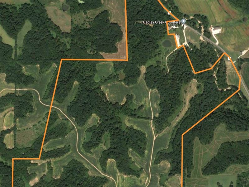 Great Recreational Farm Farm for Sale in El Dara, Pike County