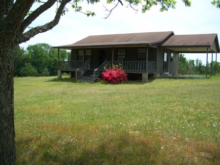Approx. 78 Acres W/cabin Farmland : Vienna : Dooly County : Georgia