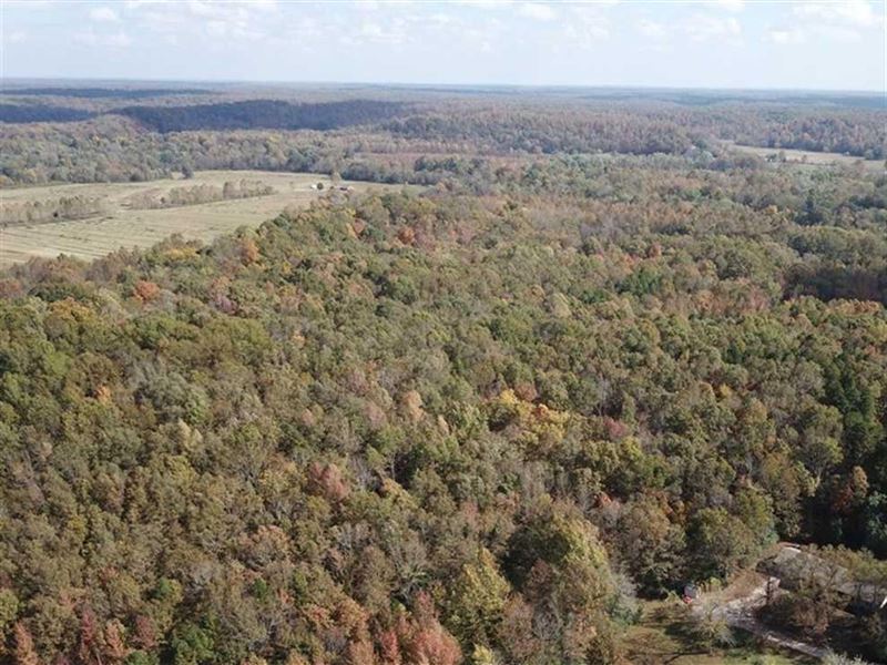 36.5 Acres for Sale in Butler Count : Poplar Bluff : Butler County : Missouri
