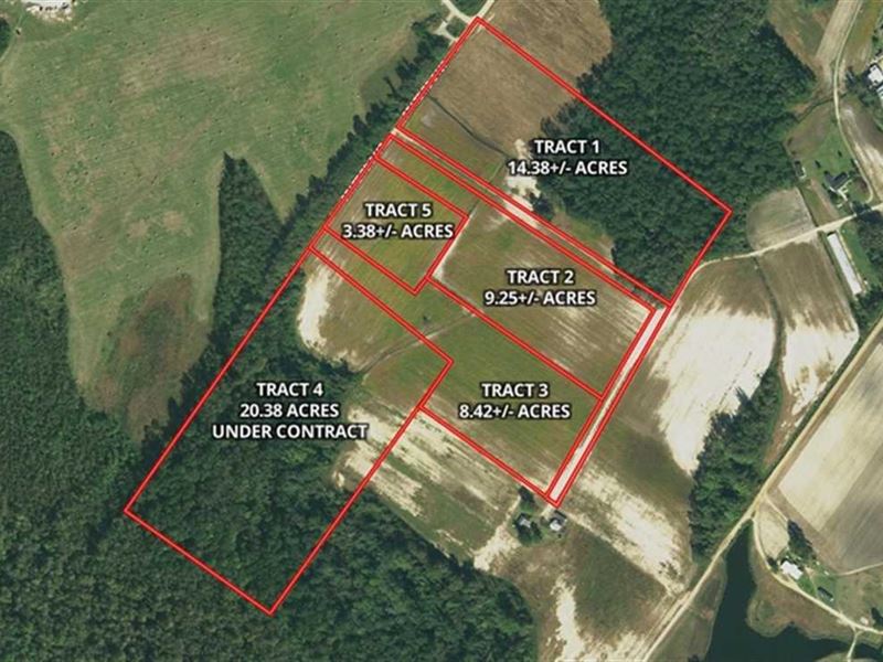 14 Acres of Reside : Fairmont : Robeson County : North Carolina