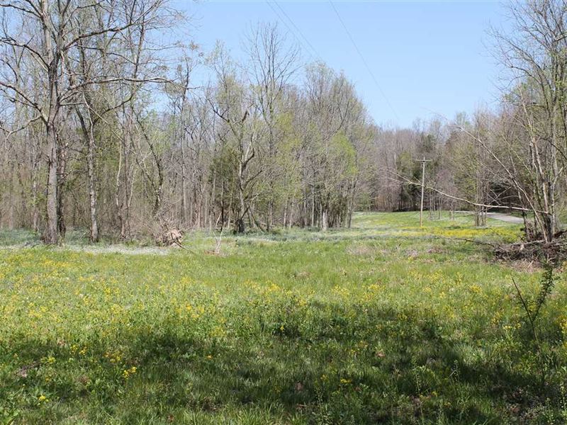 Great 42.5 Acre Farm Located in MA : Red Boiling Springs : Macon County : Tennessee