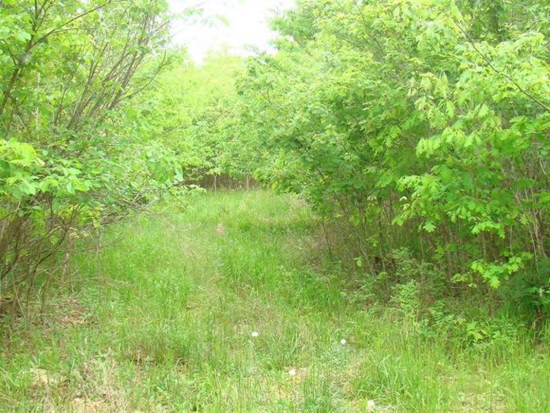 120 Acres, 1/2 to Jacks Fork River, Farm for Sale in Missouri, 281507
