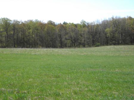 5+ Acres Bordering State Forest : Smyrna : Chenango County : New York
