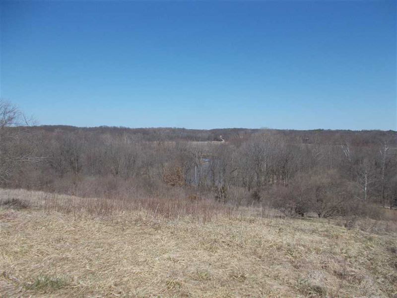Brouilletts Creek 56 Land for Sale : Clinton : Vermillion County : Indiana