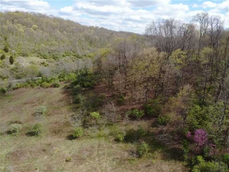 Land For Sale / Dearborn County Farm for Sale in West Harrison