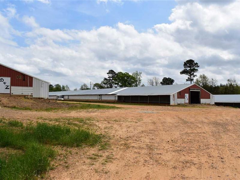 98 Acres in Rosston, Arkansas, Farm for Sale in Arkansas, 281868