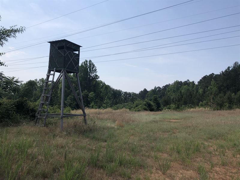 187 Acres in Lilesville, NC, Farm for Sale in North Carolina, 282028