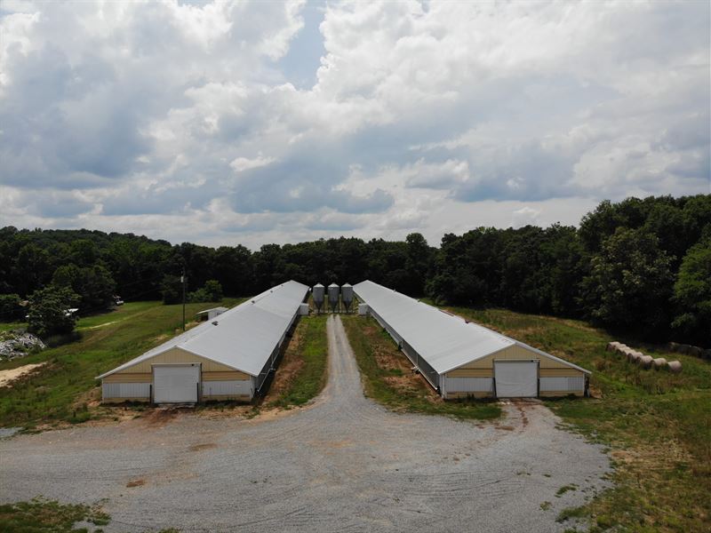 poultry farm for sale alabama poultry farm for sale alabama