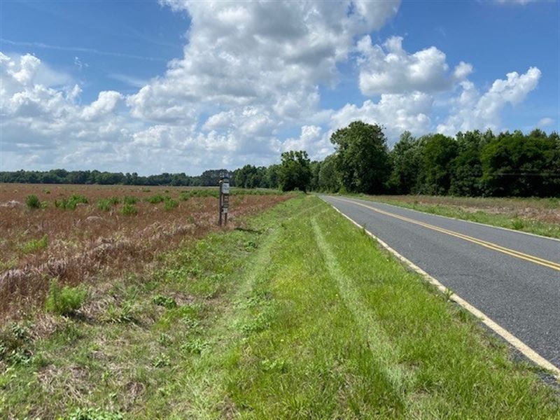 James Tract Farm for Sale in Laurinburg, Scotland County, North Carolina 282453 farmflip