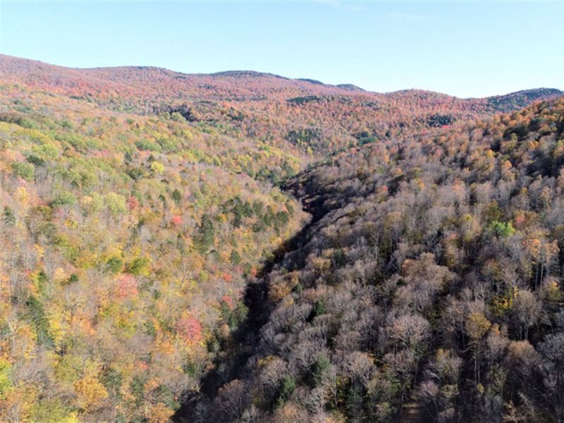 Bridgewater Hollow Forest, Farm for Sale in Vermont, 282477 FARMFLIP