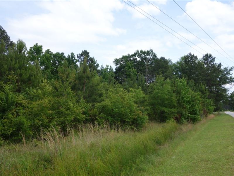 Vacant Land in Bethune, Farm for Sale in South Carolina, 282478 FARMFLIP