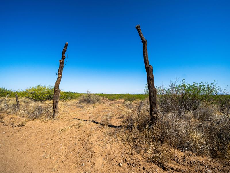 Breathtaking 40 Ac Parcel : Sunizona : Cochise County : Arizona