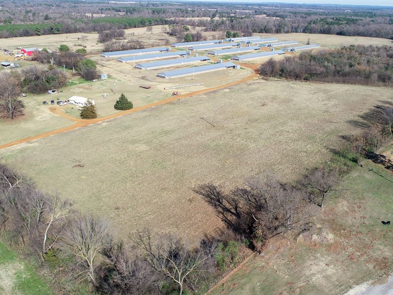 Pilgrim Farm Ltd, Farm for Sale in Texas, 282845 FARMFLIP