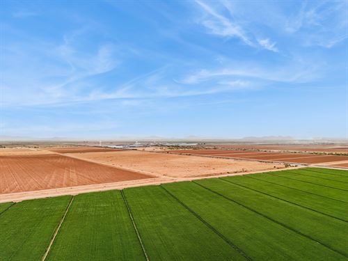 Eloy Farm Ground : Eloy : Pinal County : Arizona