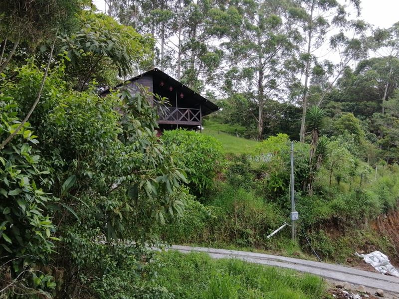 Self Sufficient Living at Its Best : Santa Teresita De Turrialba : Costa Rica