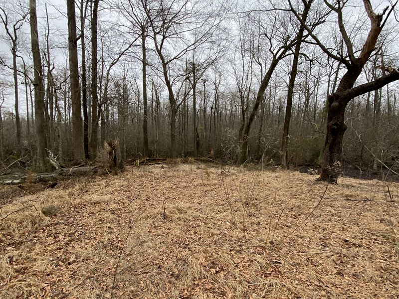 Cherry Family Farm, Farm for Sale in North Carolina, 283433 FARMFLIP