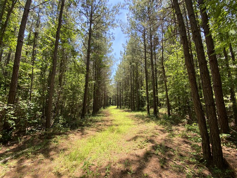 Land for Sale Near Opelika, AL Farm for Sale in Salem, Lee County