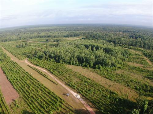 Georgia Quail Farms for Sale : FARMFLIP