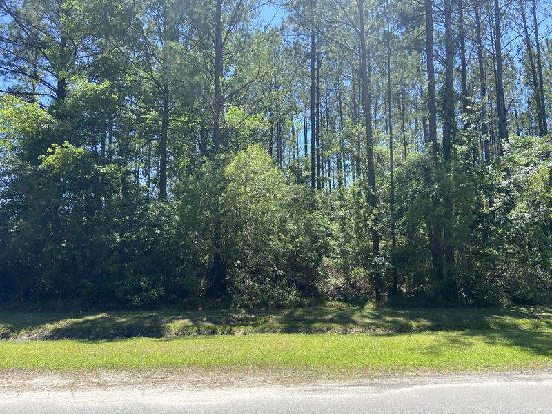 Middleton Plantation Homeplace, Farm for Sale in 283560