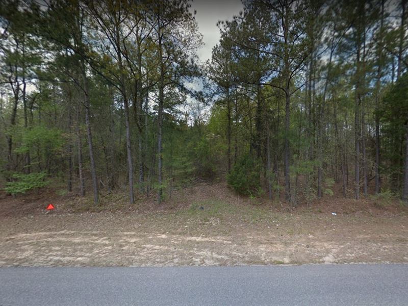 22 Acres in Montevallo, AL, Farm for Sale by Owner in Alabama, 283683