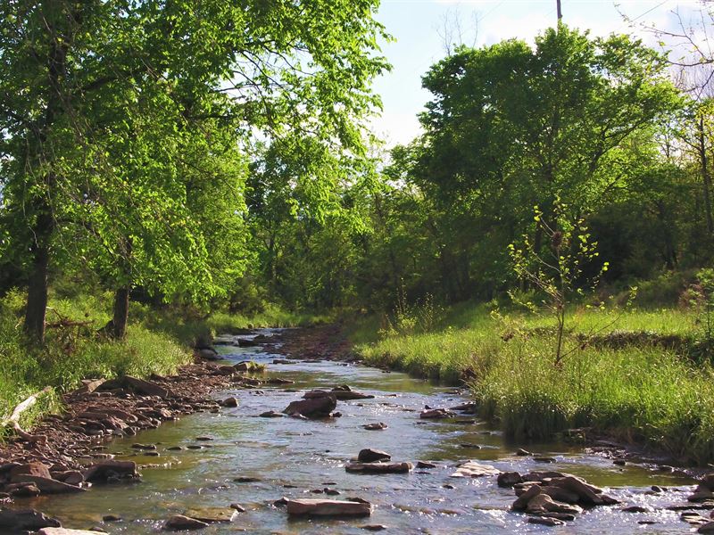 41 Acres Creek, Meadow, and Timber : Huntsville : Madison County : Arkansas
