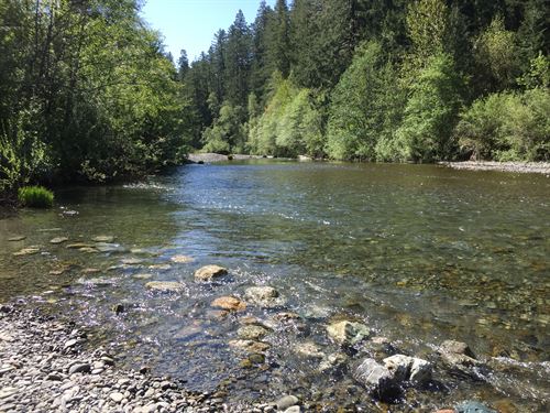 Runway, River, 55 Acres, and More : Bridgeville : Humboldt County : California