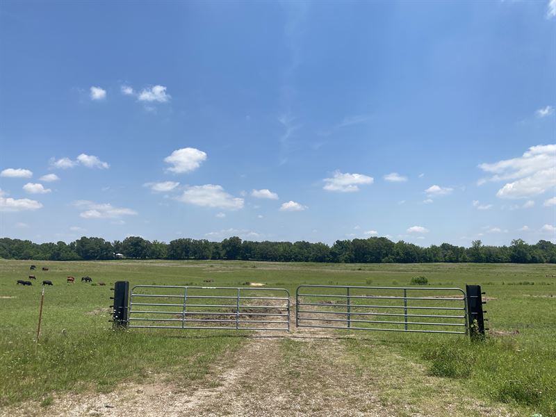 Cattle Farm for Sale in TN, Farm for Sale in Tennessee, 284041 FARMFLIP