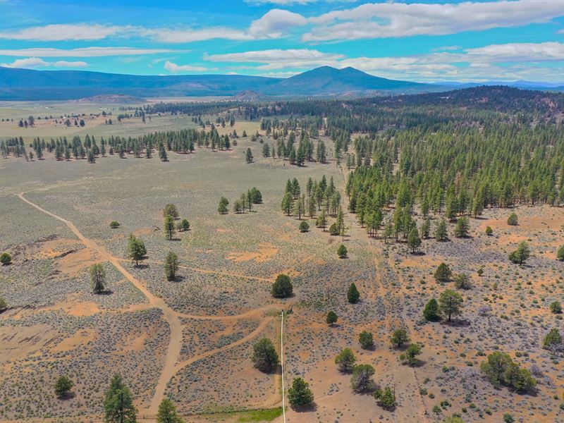 Nature & Beauty Awaits on 9.6 Acres : Chiloquin : Klamath County : Oregon
