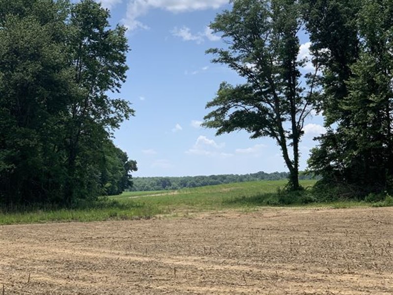 Serles Tract, Farm for Sale in Tennessee, 284285 FARMFLIP