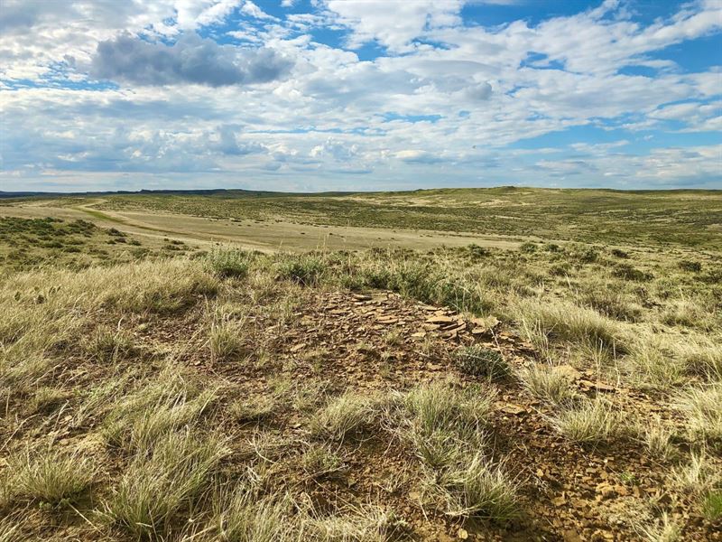640 Acre Parcel Near Roundup, MT Farm for Sale in Musselshell