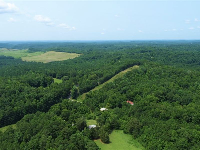 8.3 Acres Wooded Lot, Power : Quinton : Walker County : Alabama