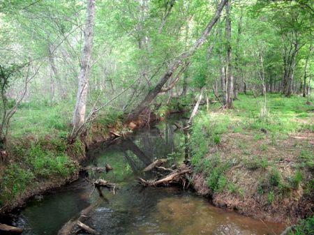 227.6 Acres Recreation Tract : Monticello : Jasper County : Georgia