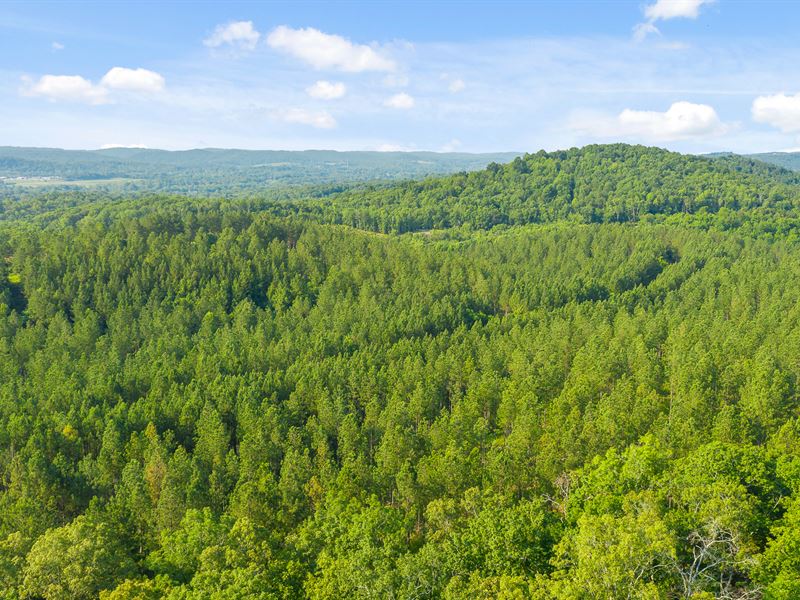 28 Acres Near Interstate, Lake : Decatur : Meigs County : Tennessee