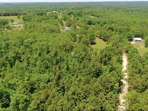Owner Financed Tract On Ntl Forest : Rolla : Dent County : Missouri