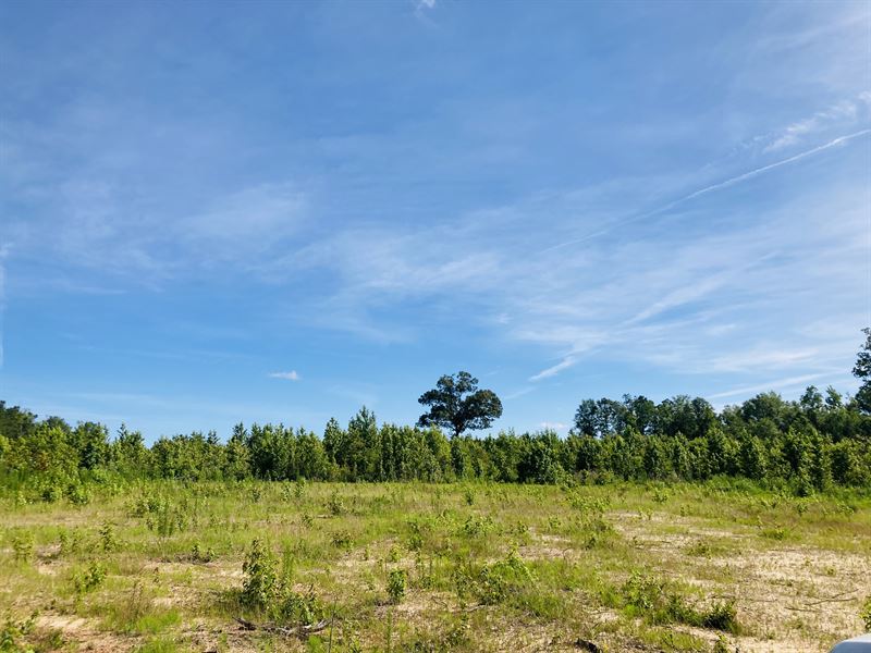 Owner Financed Acreage, Farm for Sale by Owner in 284783